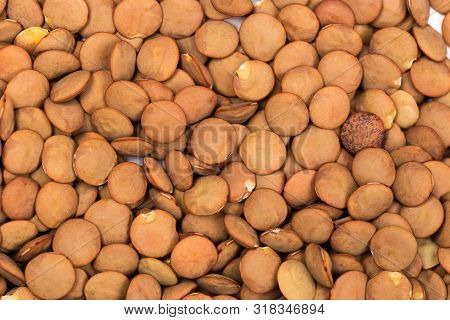 Lentils Background. Green Lentils Pattern. Natural Organic Lentils For Healthy Food