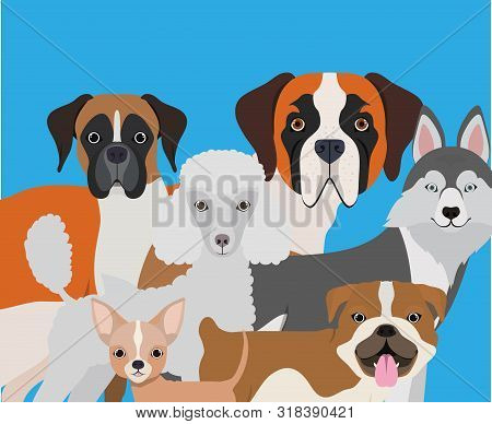 Group Of Dogs Pets Characters Vector Illustration Design
