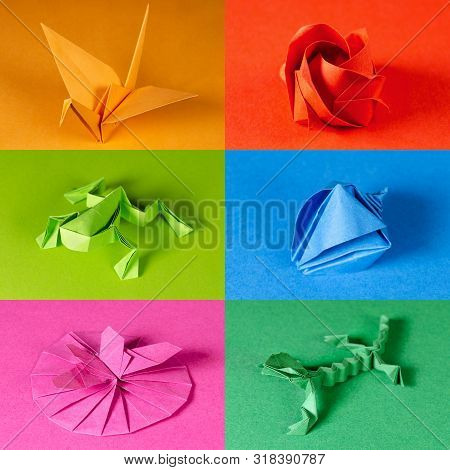 Colored Origami Paper Figures On Color Backgrounds. Crane, Rose, Frog, Sea Shell, Butterfly On Flowe