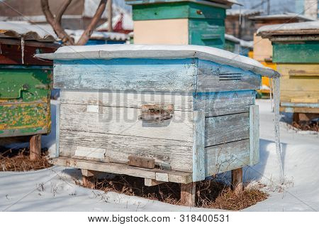 Close-up Group Of Beehives In A Winter Garden With Snow Cover On A Sunny Day.