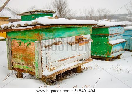 Hives Close-up In A Winter Garden With Snow Cover On A Sunny Day.