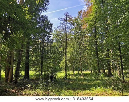 Draskovic Castle Park Or Park Oko Dvorca Blahimir Ili Perivoj Dvorca Draskovic - Bozjakovina, Croati