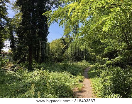 Draskovic Castle Park Or Park Oko Dvorca Blahimir Ili Perivoj Dvorca Draskovic - Bozjakovina, Croati
