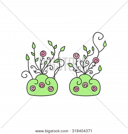 Wild Rose Flower Bushes Vector Illustration. Climbing Rose Flower Plants. Rose Kingdom, Princess Sym