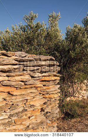 Stone Wall Made Of Various Natural Tones Of A Brown Color, Located Outdoors, Enlighted By Sunlight. 