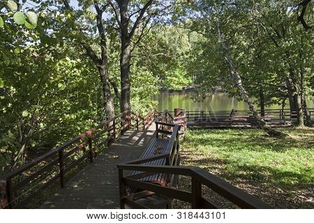 Well-maintained Pedestrian Walkway To The Shore Of The Pond. Sunny Day In September. Landscape Reser