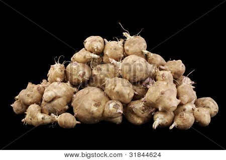 Sunroot Vegatable 分離した黒背景、ヒマワリ tuberosus