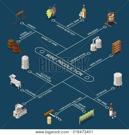 Isometric Flowchart With Equipment For Wine Production And Storage On Blue Background 3d Vector Illu