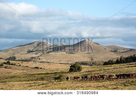 Sunny Day In The Middle Of Nowhere In The Countryside Of Uruguay