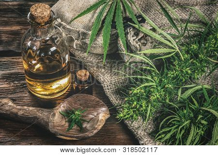 Cbd Oil Bottles And Green Plant Of Cannabis On A Wooden Background. Herbal Medicine.