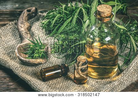 Cbd Oil Bottles And Green Plant Of Cannabis On A Wooden Background. Herbal Medicine.