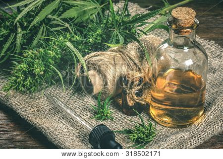 Cbd Oil Bottles And Green Plant Of Cannabis On A Wooden Background. Herbal Medicine.
