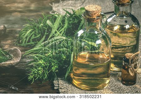 Cbd Oil Bottles And Green Plant Of Cannabis On A Wooden Background. Herbal Medicine.