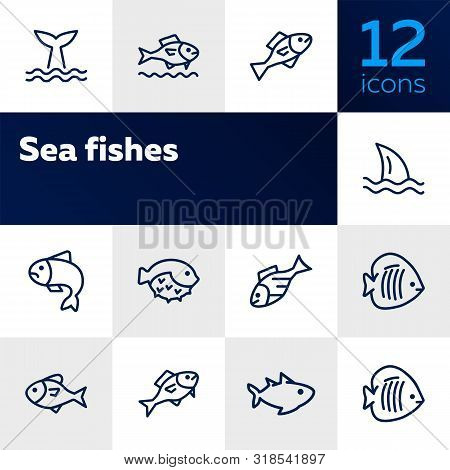 Sea Fishes Icon Set. Seaanimal Concept. Vector Illustration Can Be Used For Topics Like Seafood, Cui
