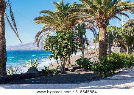 Puerto Del Carmen Beach In Lanzarote, Canary Islands, Spain. Blue Sea, Palm Trees, Selective Focus