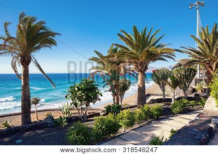 Puerto Del Carmen Beach In Lanzarote, Canary Islands, Spain. Blue Sea, Palm Trees, Selective Focus