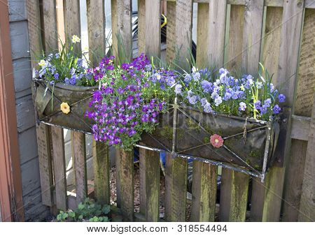 Metal Trough Of Flowers On Train Station Wooden Fence
