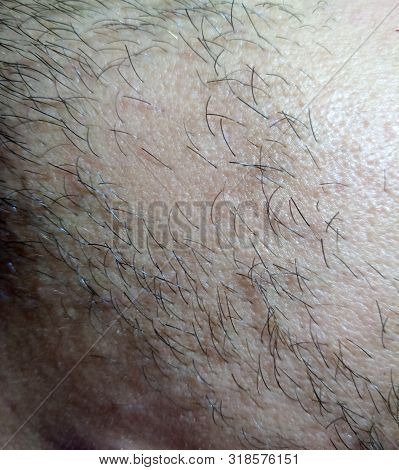 Bearded Young Man, Stubble Near. Unshaven More Than A Week.