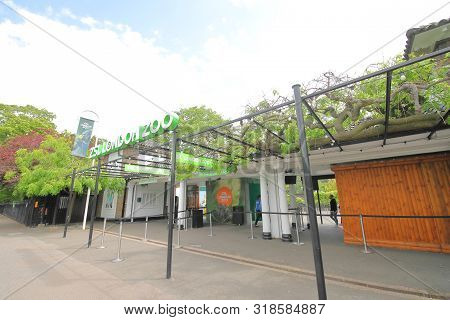 London England - June 3, 2019: Unidentified People Visit Zsl London Zoo London Uk