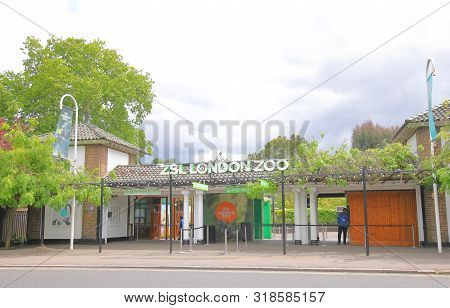 London England - June 3, 2019: Unidentified People Work At Zsl London Zoo London Uk