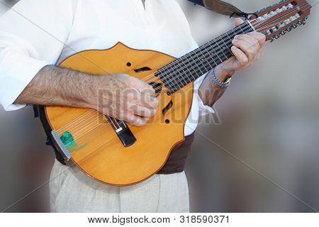 Man Playing A Musical Instrument In A Festival Of Music.