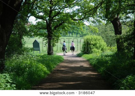 Horseriders fremvækst fra skoven