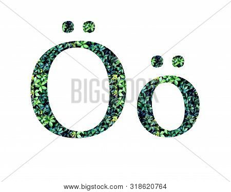 German Letter O Umlaut. Alphabet, Letters  From Green Grape Leaves.