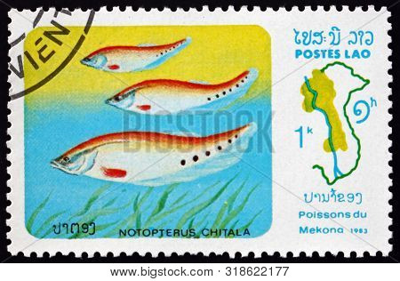 Laos - Circa 1983: A Stamp Printed In Laos Shows Notopterus Chitala, Mekong River Fish, Circa 1983