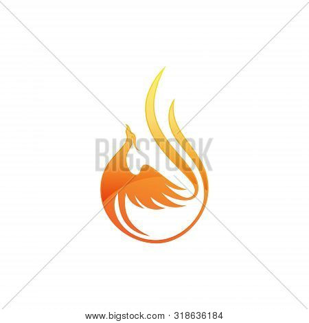 Phoenix Rising Wings Logo Design Vector Template. Luxury Corporate Falcon Eagle Hawk Bird Logotype C