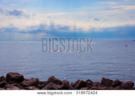 Bright Blue Sea With Stones And Birds