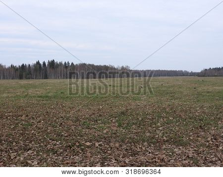 Autumn Morning. Muranovo Village, Moscow Region, Russia