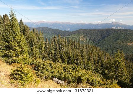 Panoramic View Of Mount Hoverla Or Goverla, Ukraine Carpathian Mountains