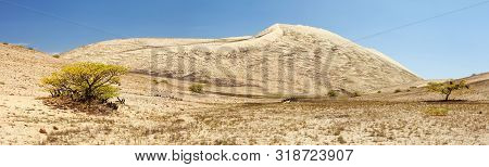 Cerro Blanco Sand Dune Panoramic View, The Highest Dunes On The World, Located Near Nasca Or Nazca T