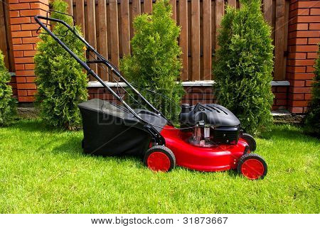Rasenmäher im Garten