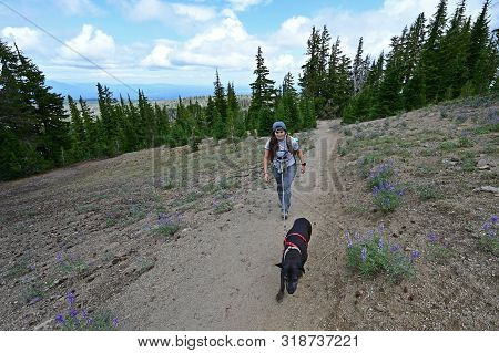 Female Hiker With Leashed Dog On The Tam Mcarthur Rim Trail In The Three Sisters Wilderness Near Sis