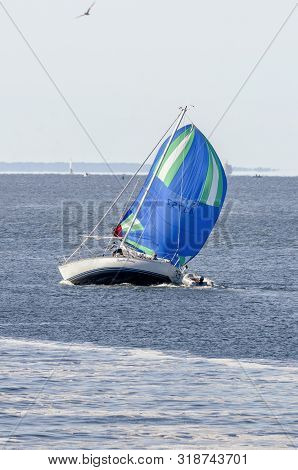 New Bedford, Massachusetts, Usa - August 24, 2019: Brisk Wind Filling Spinnaker Takes Sailboat Tequi