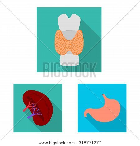 Isolated Object Of Human And Health Symbol. Collection Of Human And Scientific Stock Vector Illustra