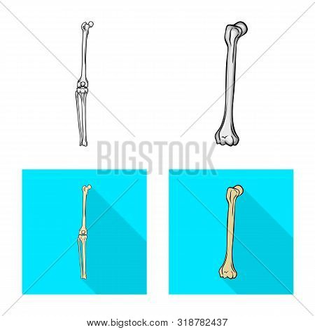Vector Design Of Medicine And Clinic Icon. Set Of Medicine And Medical Vector Icon For Stock.