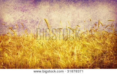 Ohren des Weizens auf Grunge hintergrund