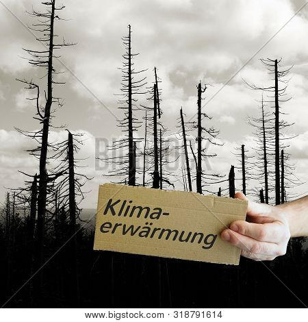 Cardboard Sign With The Inscription Global Warming. In The Background A Dead Forest.