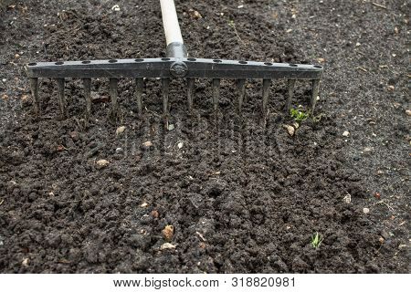 Loosening The Excavated Ground With A Rake Close-up