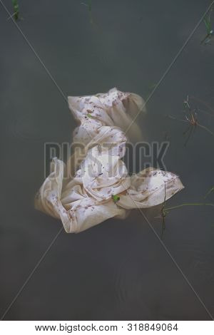 Plastic Pollution - Plastic Polythene Is In The Water