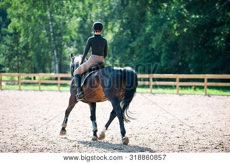 Training process. Young teenage girl riding bay trotting horse on sandy arena practicing at equestrian school. Colored outdoors horizontal summertime image with filter