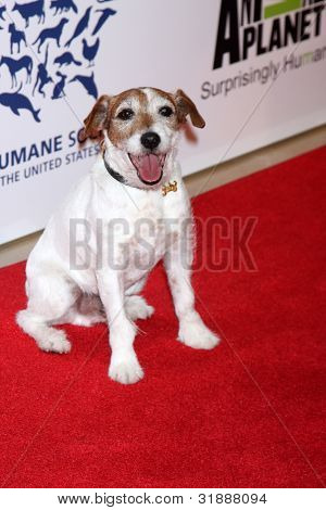 LOS ANGELES - 24 MAR: Outtakes arriva al 2012 Genesis Awards presso il Beverly Hilton Hotel di Marc