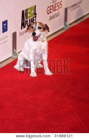 LOS ANGELES - 24 MAR: Outtakes arriva al 2012 Genesis Awards presso il Beverly Hilton Hotel di Marc