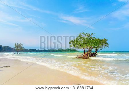 Stunning View Of Long Island Beach, Beautiful Tree In The Sea Water, Andaman Nicobar Islands. Holida