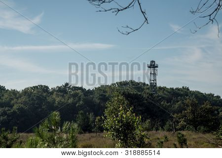 Fire Lookout Tower In The Calmthout Heathland Nature Reserve Next To The Busy Port Of Antwerp