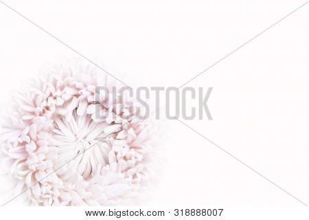Background In Soft And Blurred Style. Sprind, Mothers Day, Womens Day And Wedding Concept. Selective