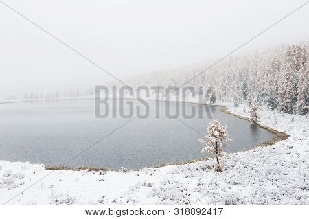 First Snow In The Autumn Forest. Kidelu Lake In Altai Mountains, Siberia, Russia.