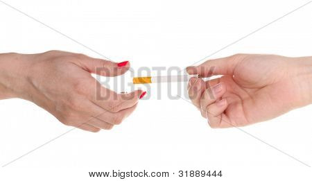Isolateed de cigarro tendo em branco